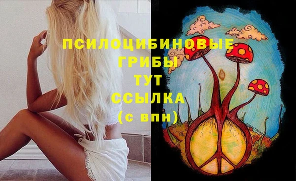 мет Балахна