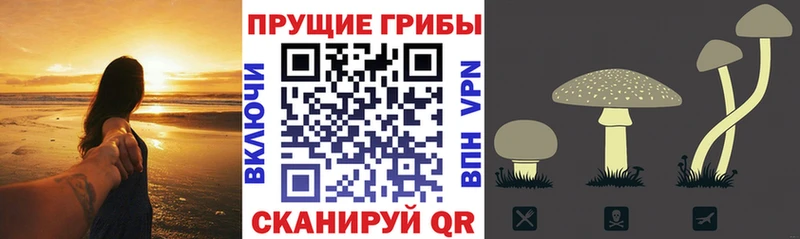 hydra онион  Белово  Галлюциногенные грибы ЛСД 